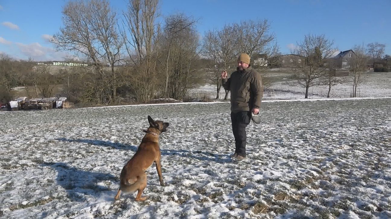 Hundetrainer Daniel Jannett mit seinem Trainingspartner Rebell.