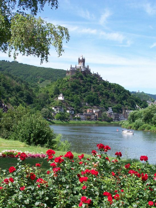 Foto: TouristInfoFerienlandCochem