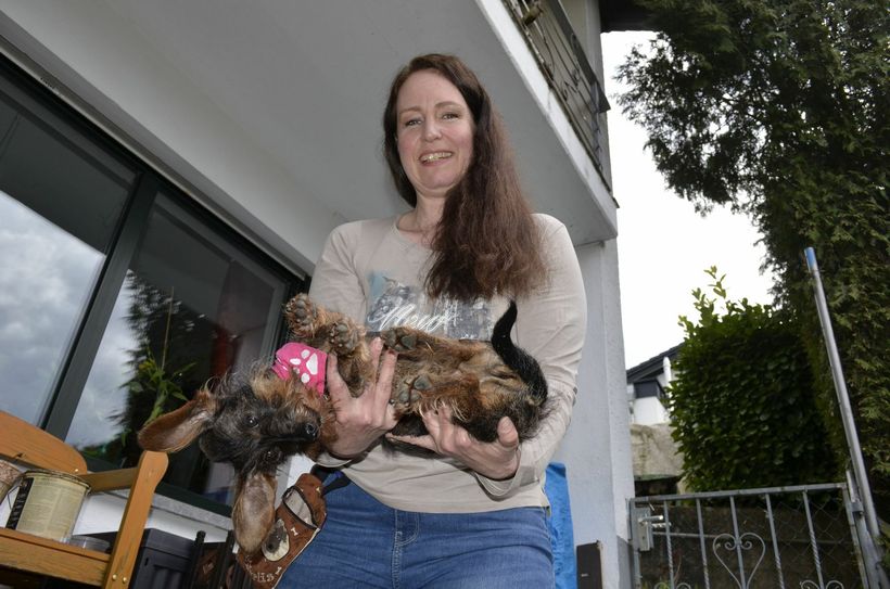 Dieses Team versteht sich.