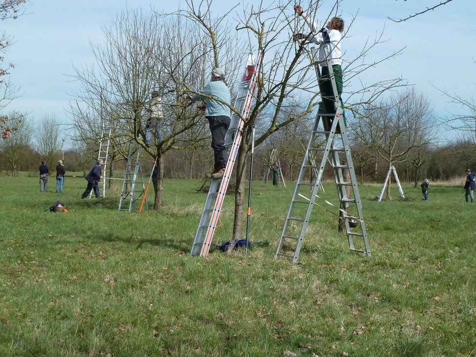 Die Schnittkurse der SoNNe sind der Renner. Foto: Astrid Heistert-Klink