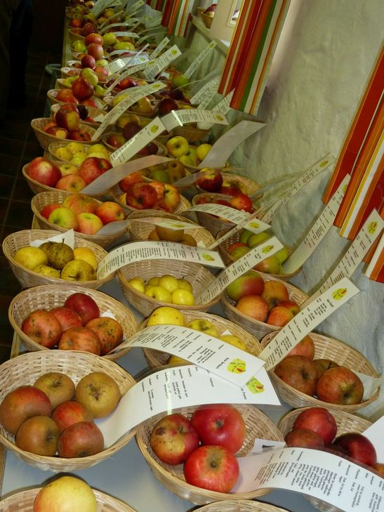 Das nennt man dann wohl Sortenvielfalt. Foto: Astrid Heistert-Klink