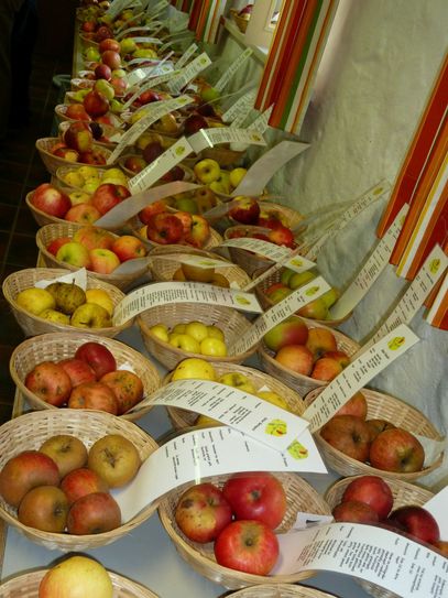 Das nennt man dann wohl Sortenvielfalt. Foto: Astrid Heistert-Klink