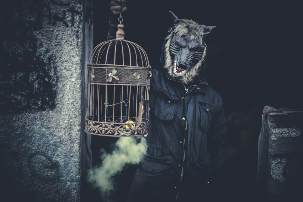 Der Werwolf. Foto: Fotolia