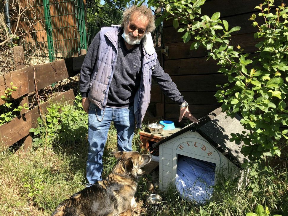 Auch im Tierheim Mechernich sind wildlebende Katzen untergebracht, die laut Rainer Bauer natürlich alle kastriert sind. Ein besonderes Exemplar ist die Katze »Hilde«, die eine eigene Hütte besitzt. mn-Fotos