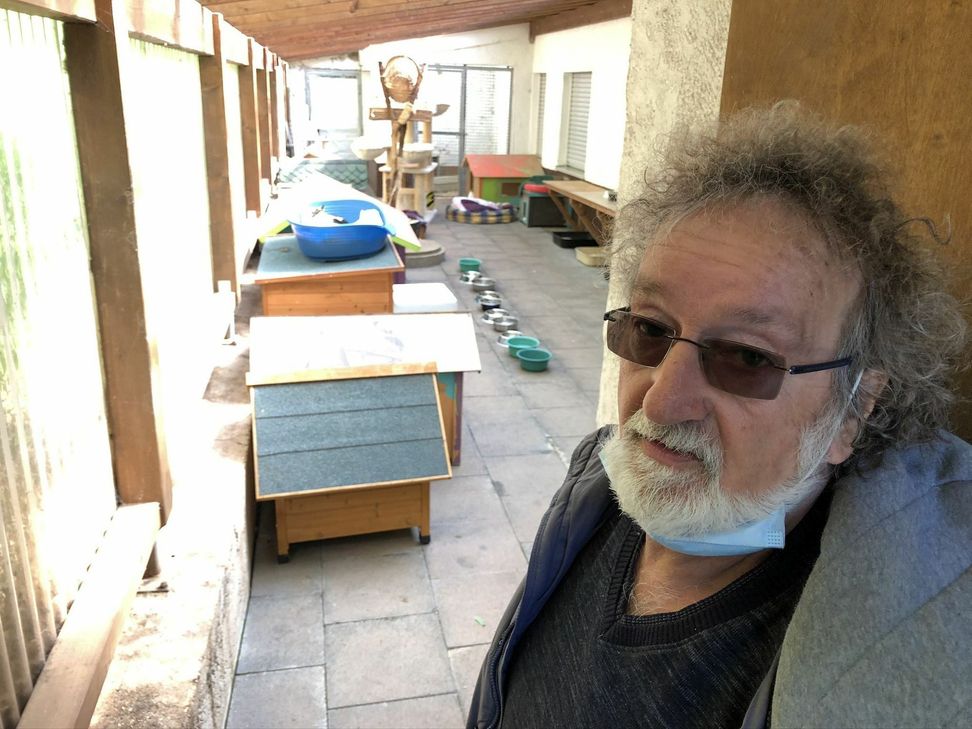 Hier sind die wildlebenden Katzen untergebracht, die das Tierheim Mechernich betreut.