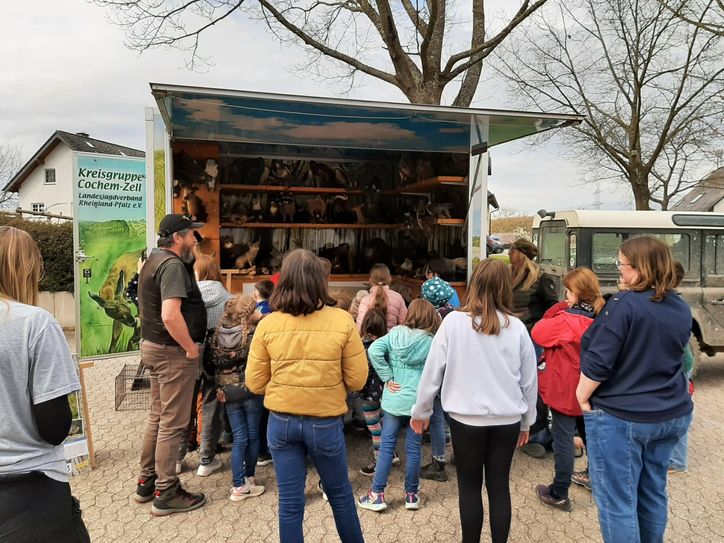 Die Erlebnis-Schule Wald und Wild der Kreisgruppe Cochem-Zell macht in Brohl Station.