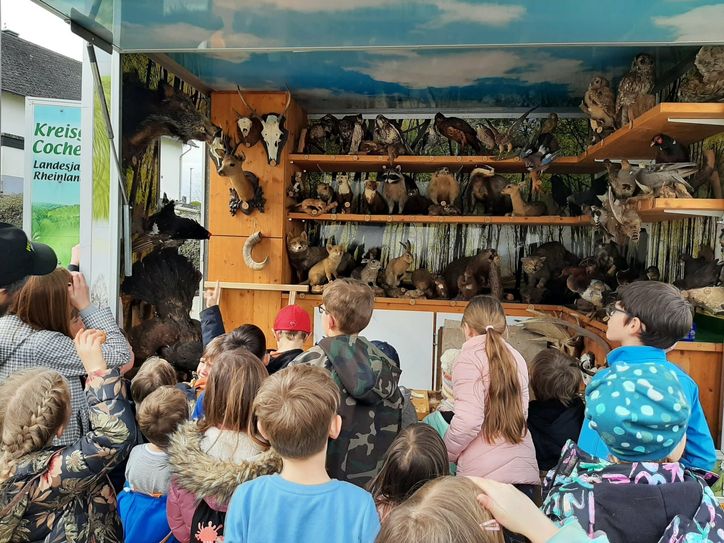 Die Erlebnis-Schule Wald und Wild der Kreisgruppe Cochem-Zell macht in Brohl Station.