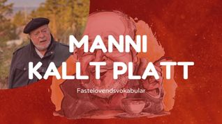 Manni und das Fastelovendsvokabular.