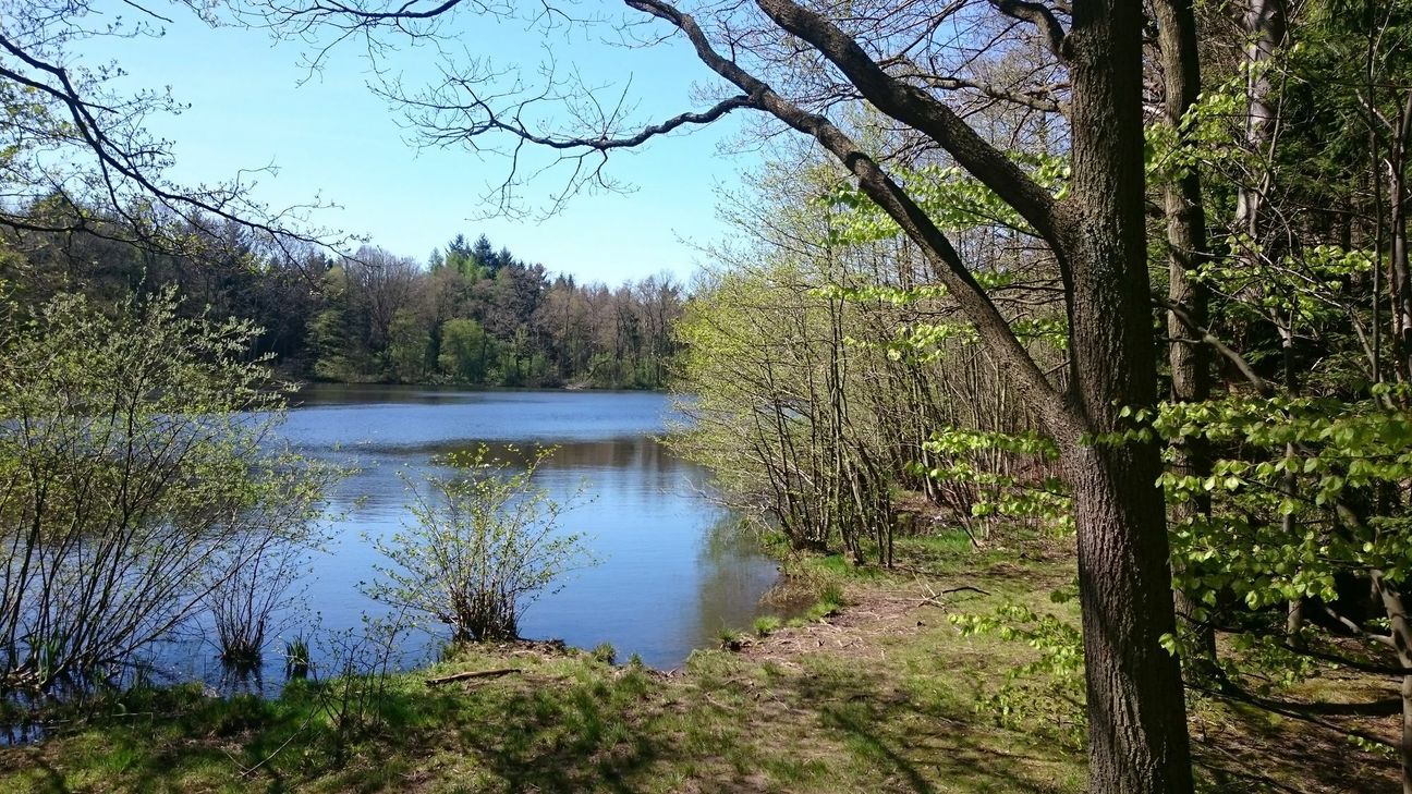 Durch die Eifel-Landschaft schlendern, einige sportliche Trainingseinheiten einlegen und die Erschöpftheit beim Gaumenschmaus genießen: Das kann man beim GourmetWandern mit Susann Hempel und Felix Zöll. Die beiden wollen ihre Gäste auf die reizvolle heimische Natur, die man zu Fuß und kulinarisch erleben kann, zurückbesinnen.