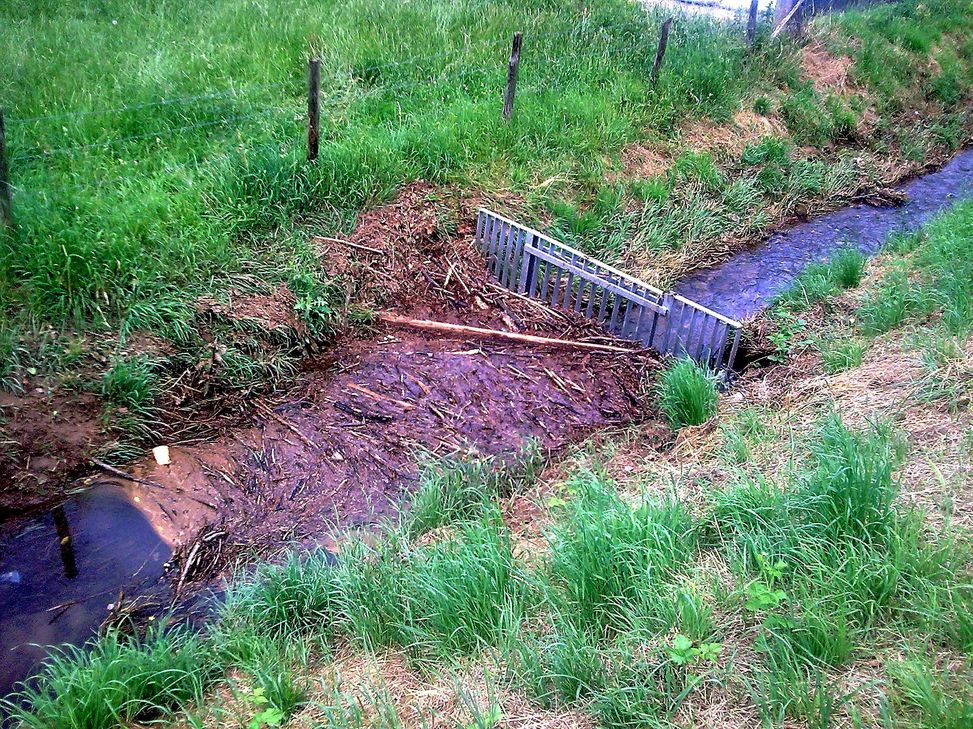 Hier ist eine Überschwemmung bei Starkregen vorprogrammiert: Grünabfall verstopft den Einlaufrechen. Foto: Privat/pp/Agentur ProfiPress