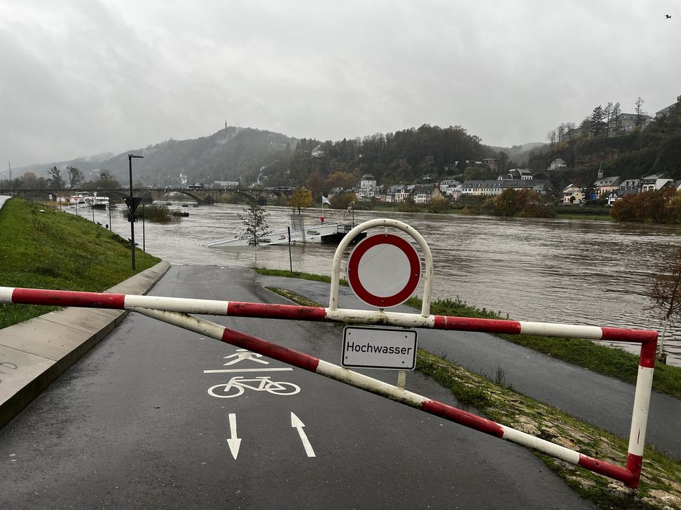 Moselufer in Zurlauben