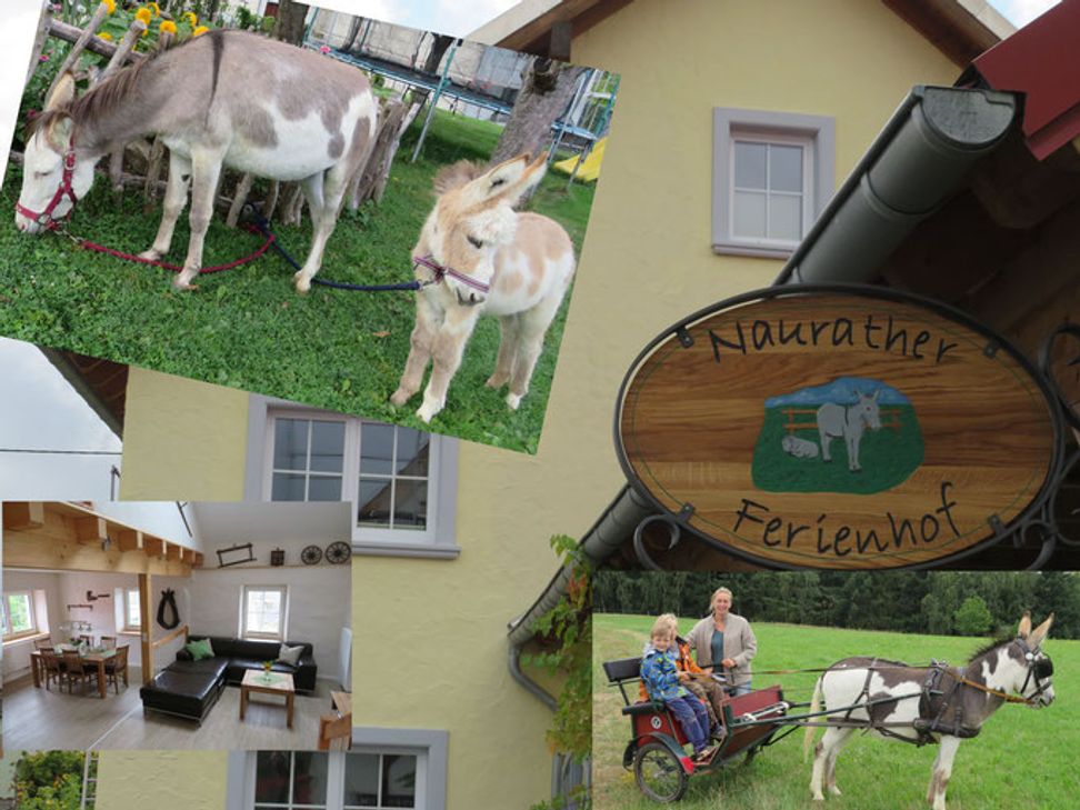 In den Kategorien „Top Ferienhof 2025 in Rheinland-Pfalz“ und „Top Unterkunft Familienurlaub 2025 in Rheinland-Pfalz“ überzeugte der Hof durch zahlreiche positive Gästebewertungen.