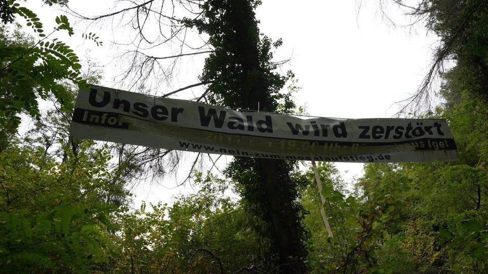 "Unser Wald wird zerstört"