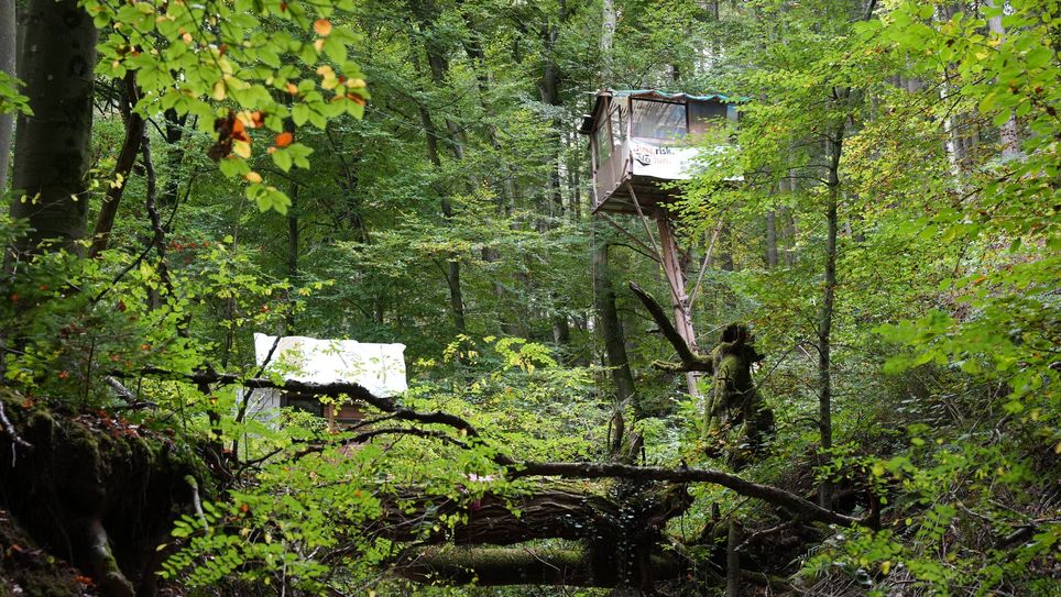 Baumhaus und Plakate