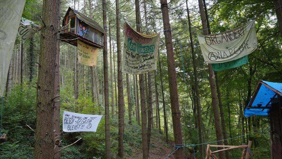 Baumhäuser mit verschiedenen Plakaten