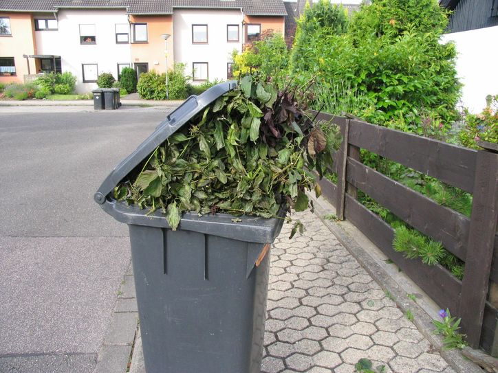 Die Biotüte soll helfen, die Menge in der Restmülltonne zu reduzieren. Solche Bilder sollten damit in Zukunft der Vergangenheit angehören. Fotos: A.R.T