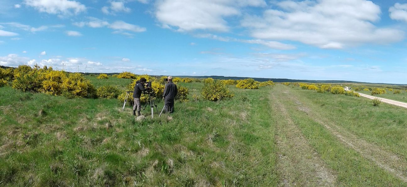 1,5 Jahre war das Filmteam für den WDR, begleitet von einem Ranger, im Nationalpark Eifel für die Dreharbeiten der Dokumentation »Wilde Eifel« unterwegs. Foto: Nationalparkverwaltung Eifel