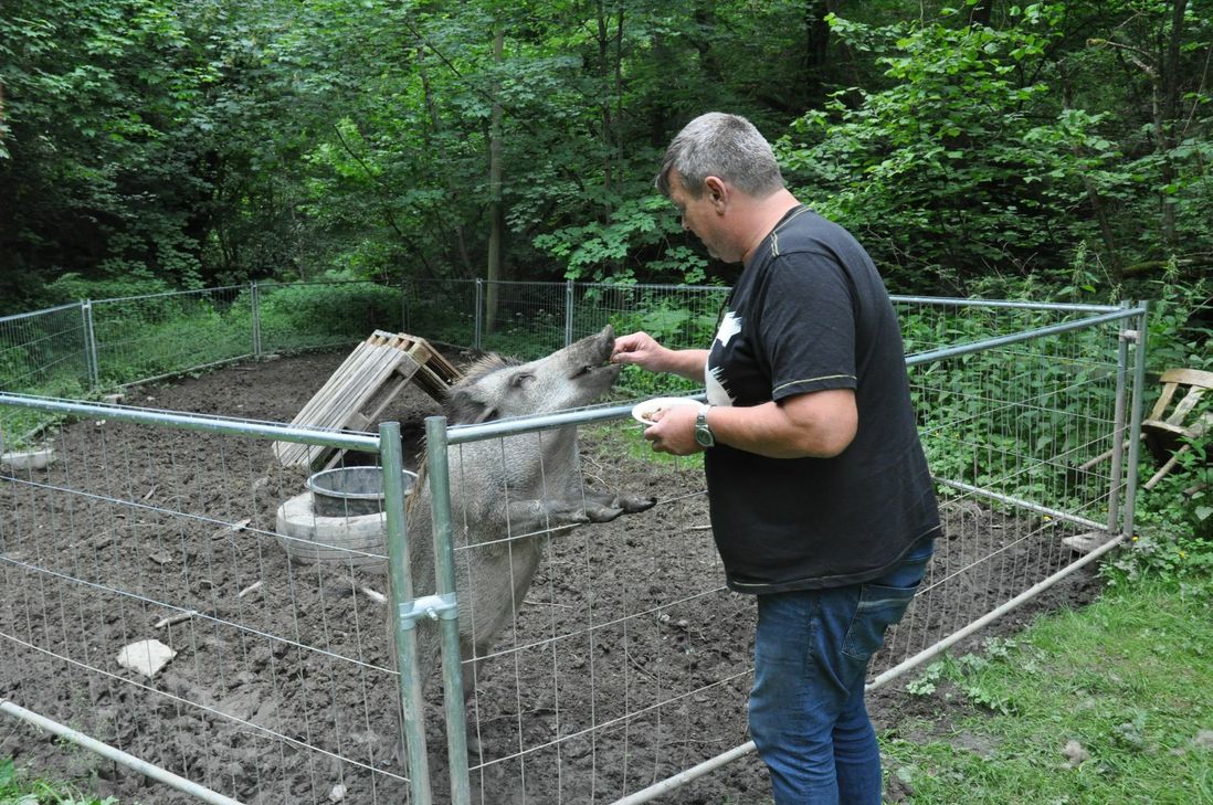 Johannes Brengmann ist sich sicher, dass es "Peppa" bei ihm gut ging.