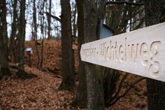 Der »Kiemscher Wichtelweg« führt druch den Wald.