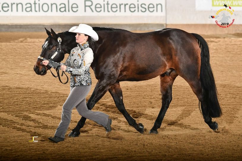 Mit kleinsten Hilfestellungen durch Stimme und Körpersprache führt Anja Krings ihr Quarterhorse durch die Prüfung.