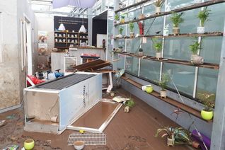 Hart vom Unwetter getroffen wurde der Schmetterlingsgarten Eifalia. Fotos: Privat