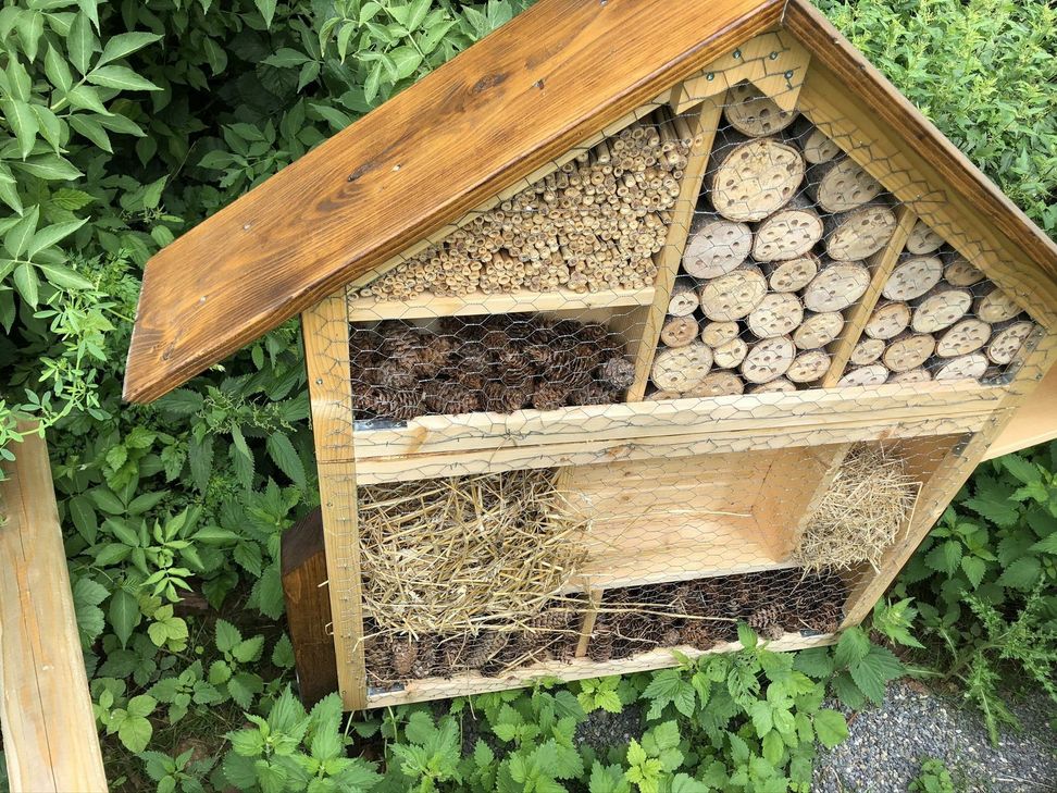 Ebenfalls in Scheven befindet sich dieses Insektenhotel, ...