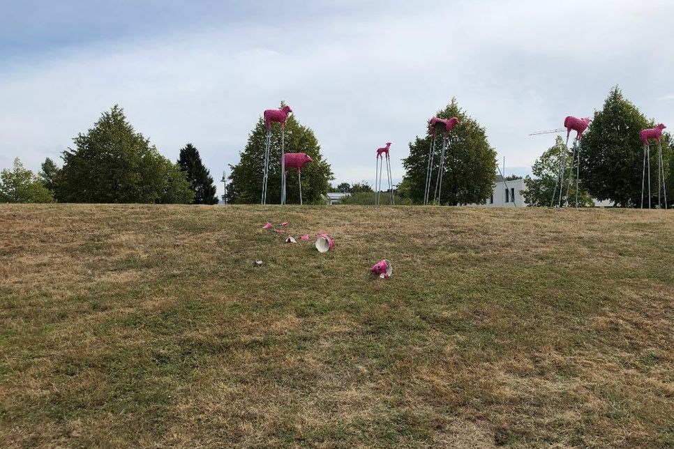 Die beschädigten "Pinken Schafe" auf dem Hügel an der Robert-Schumann-Allee. Fotos: Kunstdünger