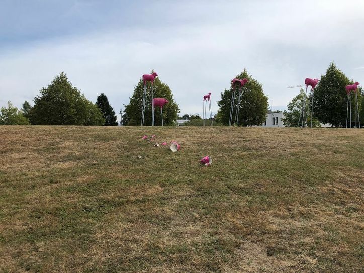 Die beschädigten "Pinken Schafe" auf dem Hügel an der Robert-Schumann-Allee. Fotos: Kunstdünger