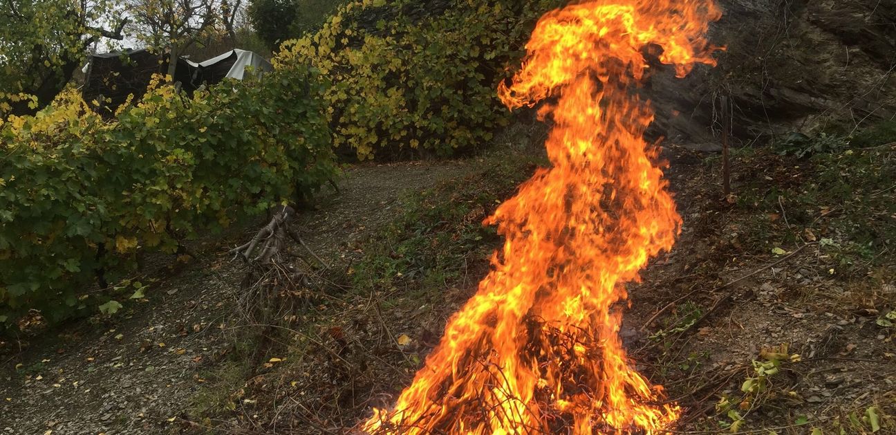 Ein Lagerfeuer kann schon einmal außer Kontrolle geraten (Symbolfoto).