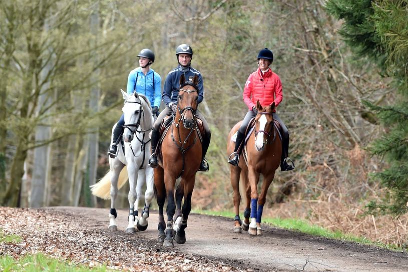 Belohnung für Pferde und Reiter: Ausritt mit "Camargo" (Mitte) und "Fit for fun" (rechts).