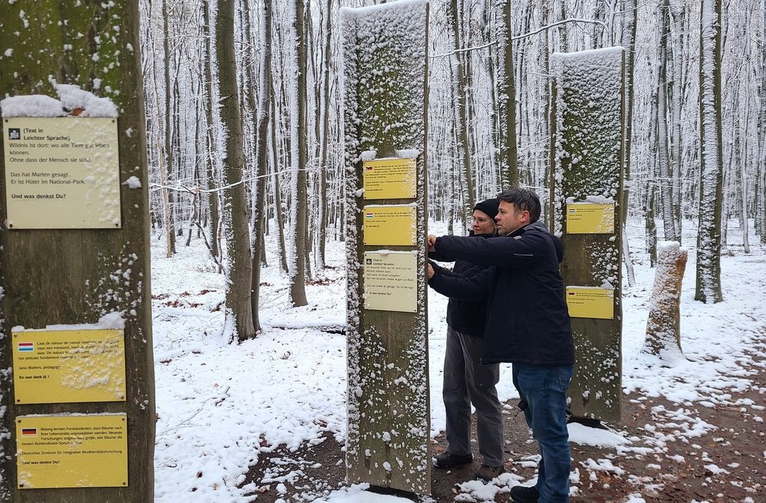 Die Station »Perspektivwechsel« am Ende des barrierefreien Naturerkundungspfades »Der Wilde Weg« im Nationalpark Eifel erhält ein neues Zitat. Markus Wöbel und Christina Dubinjanski aus der Holzbauwerkstatt der Nationalparkverwaltung Eifel bringen die Tafel mit dem Zitat des Verwaltungschefs der Schutzgebiete des südostafrikanischen Inselstaates Madagaskar an.