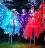 Die "Nachtschwärmer".