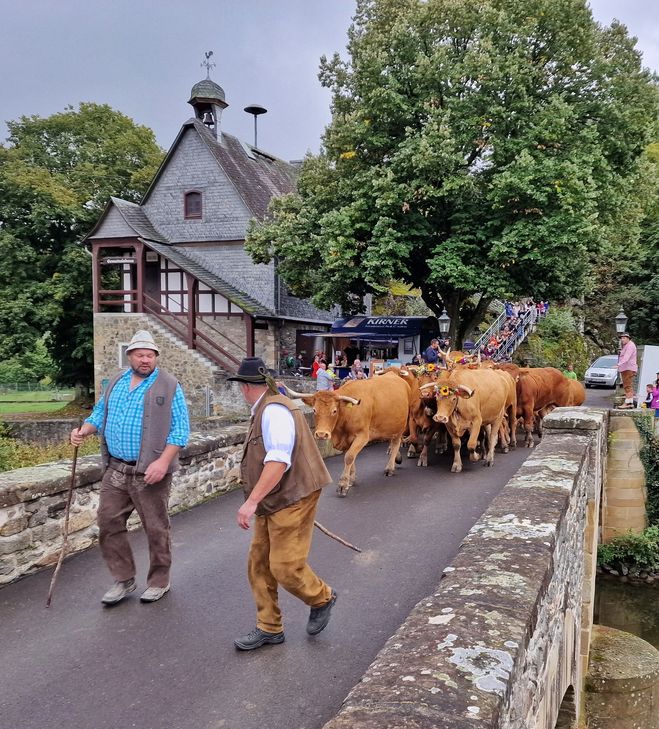 Almabtrieb in Hahnenbach.