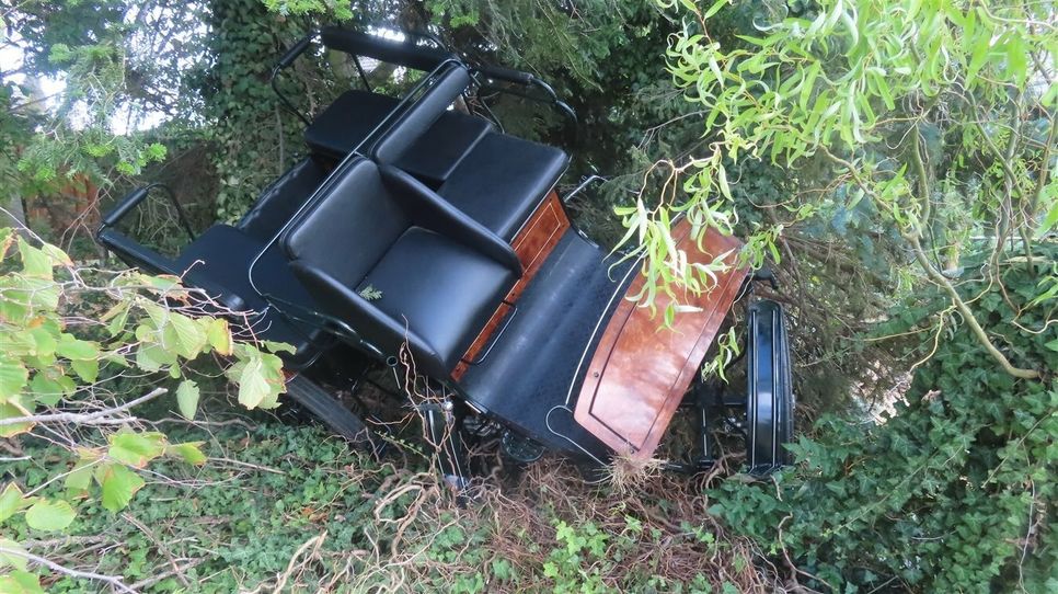 Die Kutschenfahrt endete mit vier verletzten Personen und einem verletzten Pferd.