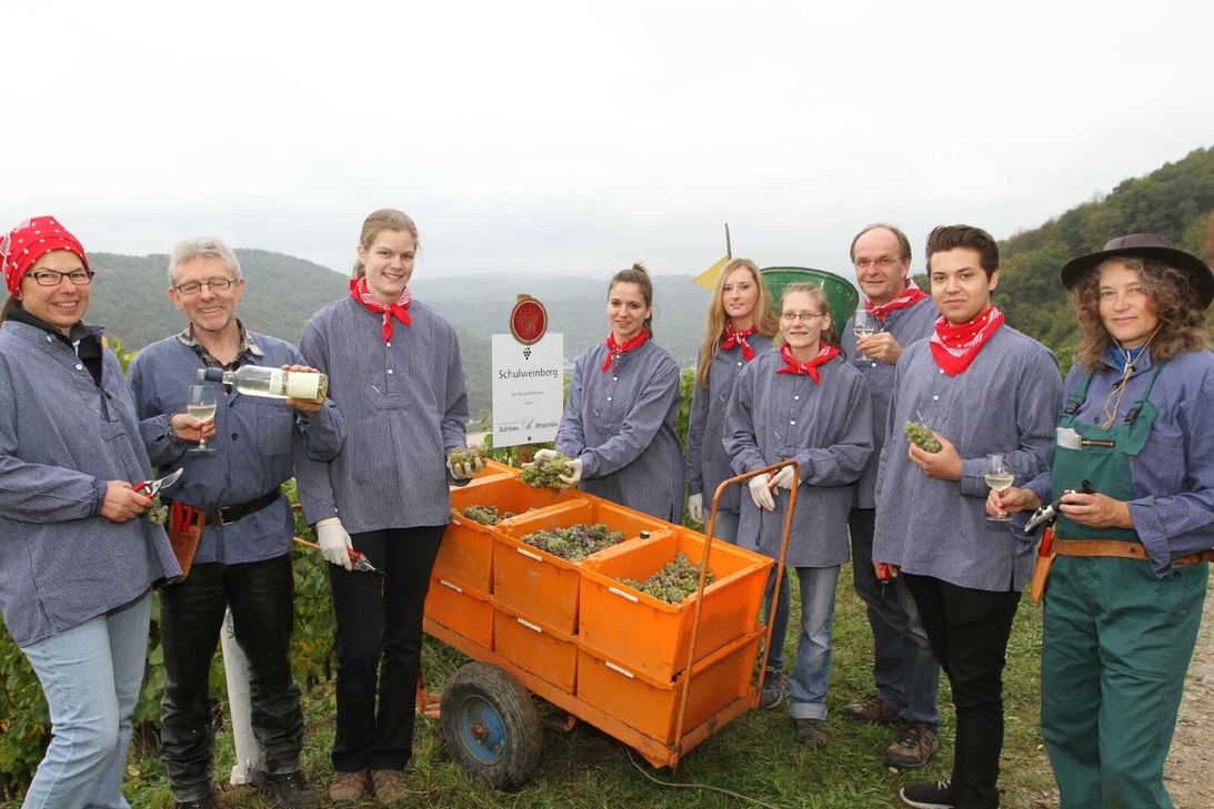 Gelungener Auftakt im Schulweinberg: Die Rheinfels-Azubis, unterstützt von den Weinbergbesitzern Sabine (r.) und Jürgen Müller (2. v. l.) und dem Hoteliersehepaar Petra (l.) und Gerd Ripp (3. v. r.), bei der Arbeit.