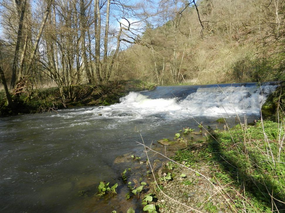 Das Wehr an der Geringer Mühle verhindert den Aufstieg der Fische im Elzbach.