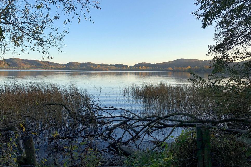 Das Naherholungsgebiet Laacher See ist auch in "Lockdown"-Zeiten sehr beliebt.