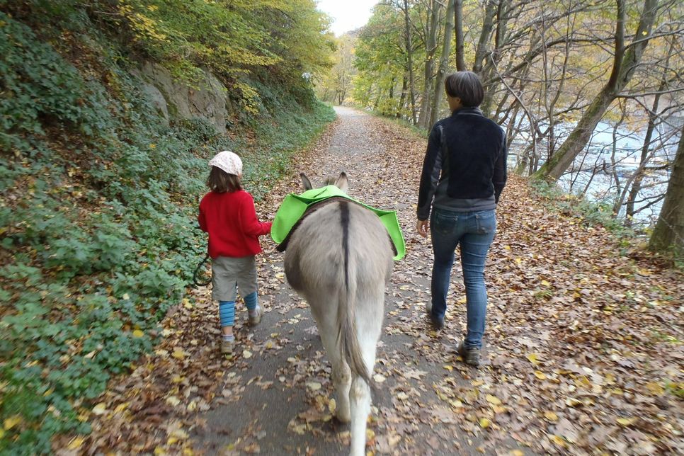 Gerade Kinder haben einen besonderen »Draht« zu den Eseln. Denn sie machen sich keine Gedanken um andere Dinge, sie widmen sich beim Spaziergang ganz den Bedürfnissen des Tieres.