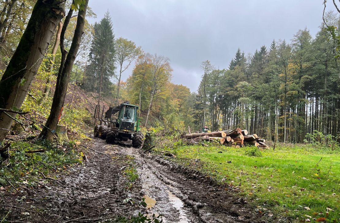 Die Rodungsarbeiten für das Regenrückhaltebecken nahe Rott haben begonnen. Eine 18 Meter hohe Dammkrone zeugt von den beeindruckenden Dimensionen, die zum Bevölkerungsschutz geschaffen werden.