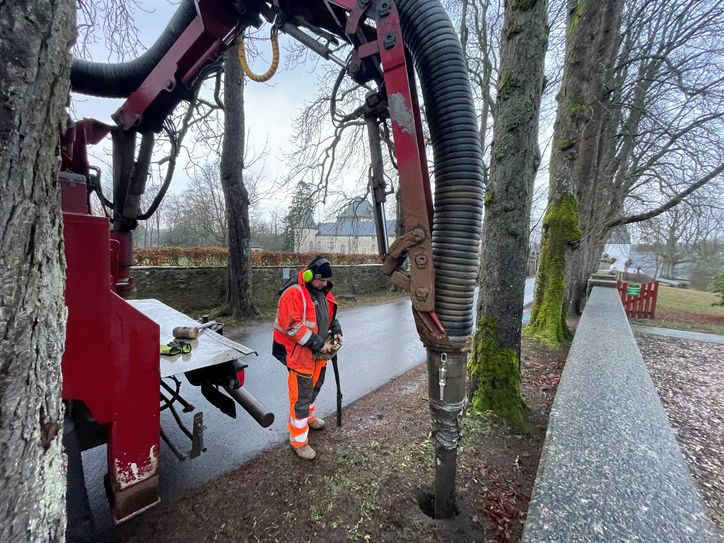 Mit einem Saugbagger wurde die verdichtete Erde im Wurzelbereich abgesaugt und durch durchlässiges Substrat ersetzt.