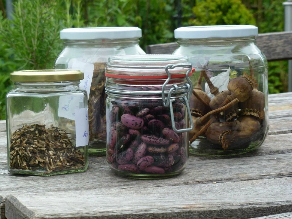 Foto: Annette Fehrholz