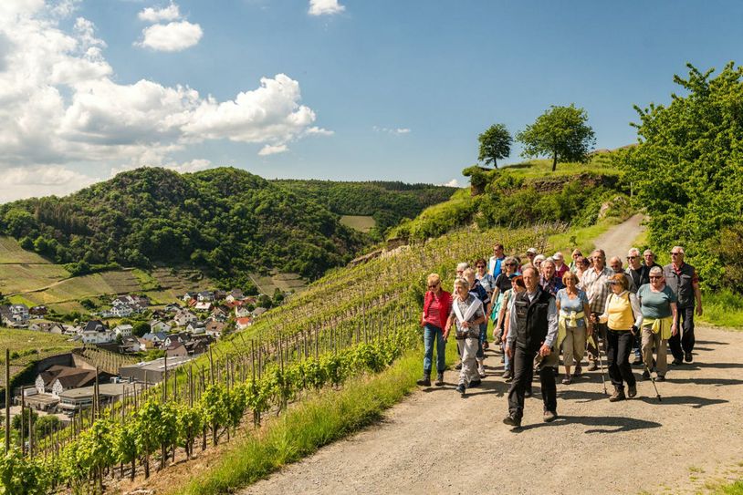 Wandergruppen sind im Ahrtal und im Adenauer Land sonst immer gerne gesehen. Derzeit werden Ausflügler aber gebeten, daheim zu bleiben. Foto: Dominik Ketz/Gastlandschaften RLP