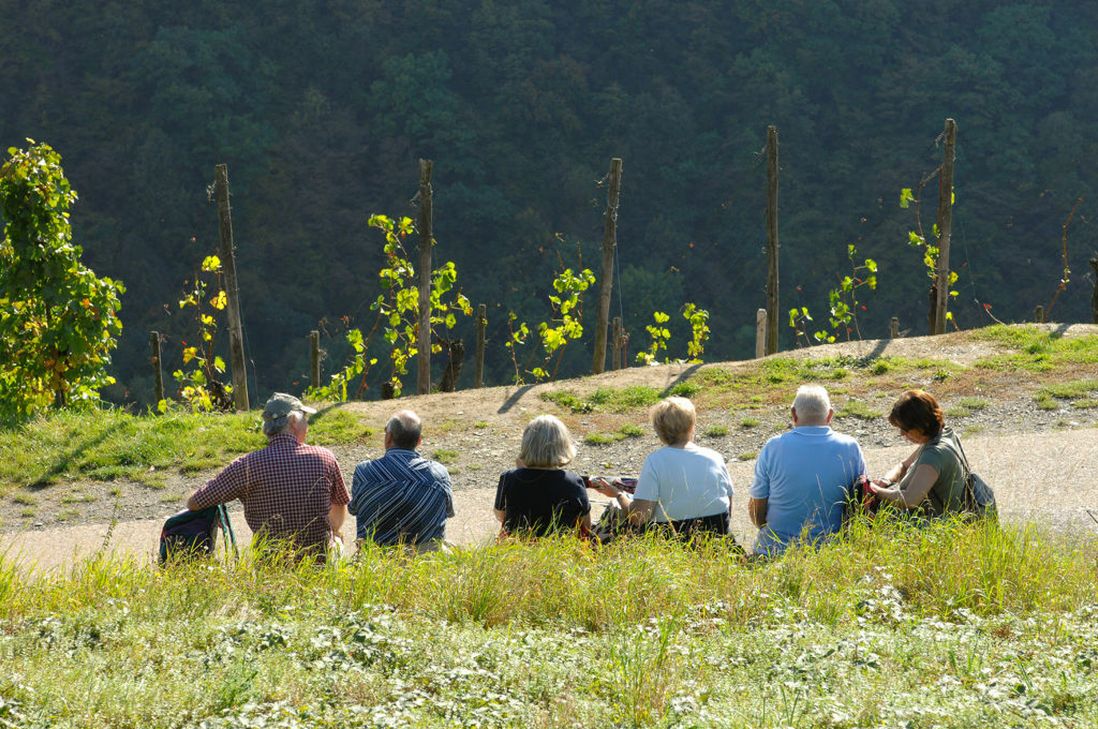 Gruppenwanderungen auf dem Ahrsteig sind derzeit nicht gestattet. Symbolbild: Dominik Ketz/Gastlandschaften RLP