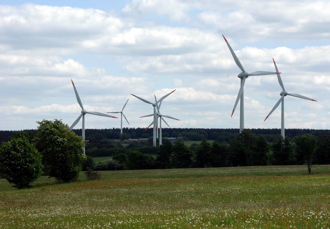 Fünf neue Windanlagen sollen im Höfener Wald errichtet werden.
