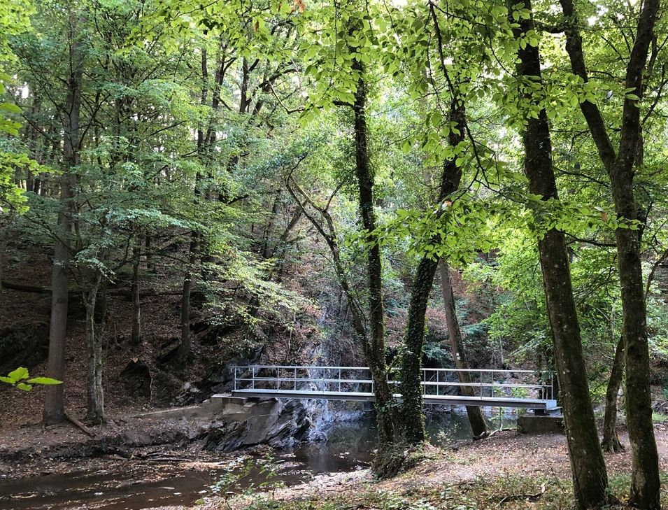 Eine Fußgängerbrücke, die über den Elzbach entlang des Pyrmonter Felsensteigs führt und durch das Hochwasser der Elz im Juli 2021 zerstört worden war, ist in diesem Sommer erneuert worden.