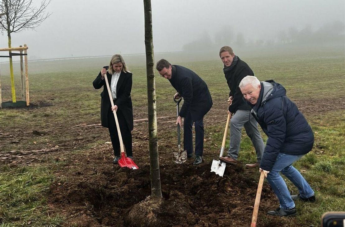 Jennifer Meuren (v.li.), Hendrik Wüst, Markus Ramers und Prof. Dr. Karl-Heinz Erdmann pflanzten den letzten von insgesamt 49 Erinnerungsbäumen.