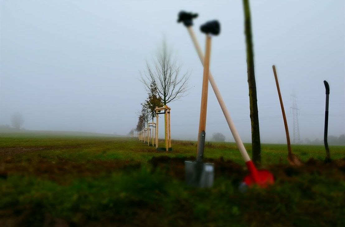 Auf Initiative der Landesregierung ist im Kreis Euskirchen ein landesweiter Gedenkort für die Opfer der Hochwasserkatastrophe am 14. und 15. Juli 2021 entstanden.