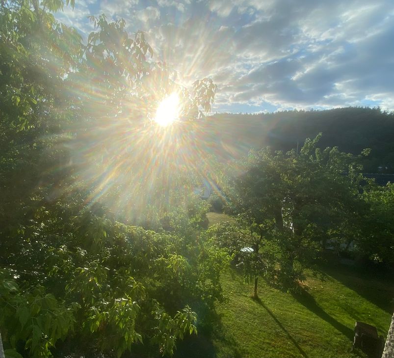 Guten Morgen