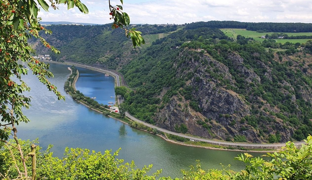 Blick auf den Loreley-Felsen.