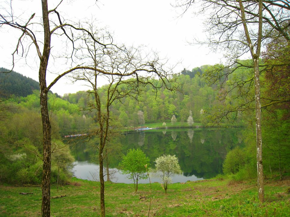 Das Herz der Vulkaneifel: Das Gemuender Maar.